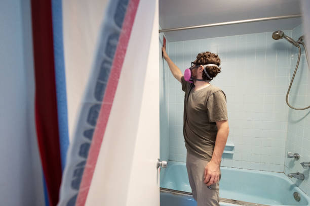 Best Mold Removal for HVAC Installations  in Newport, MN