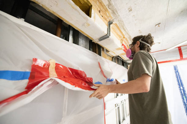 Professional Mold Removal in Newport, MN