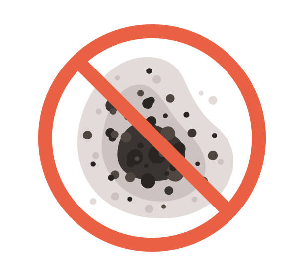 Best Airborne Mold Testing  in Newport, MN