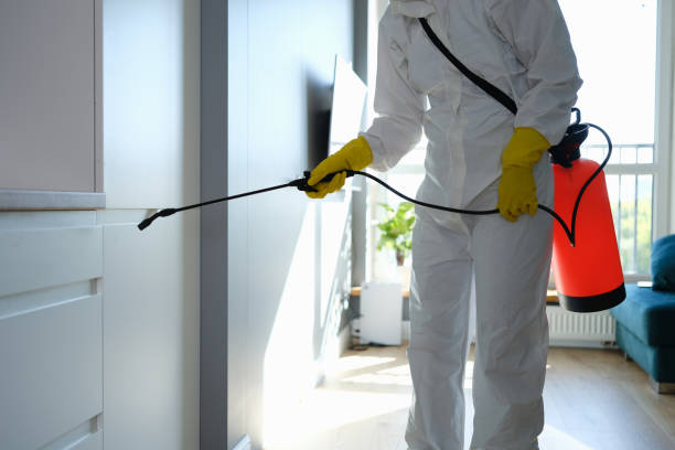Best Mold Odor Removal Services  in Newport, MN
