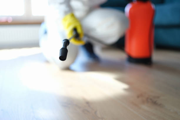 Best Mold Prevention Services  in Newport, MN