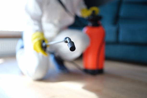 Best Water Damage & Mold Remediation  in Newport, MN
