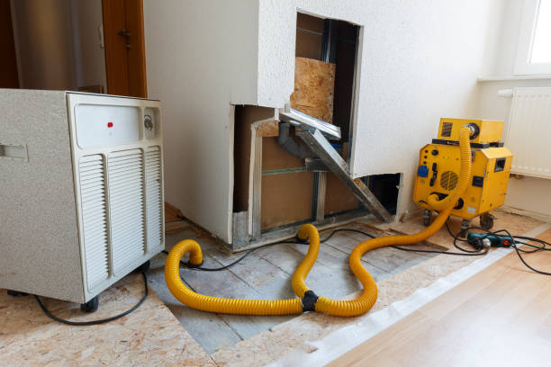 Best Indoor Air Quality Assessment  in Newport, MN